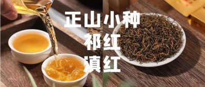 茶知识|正山小种 祁红 滇红的区别